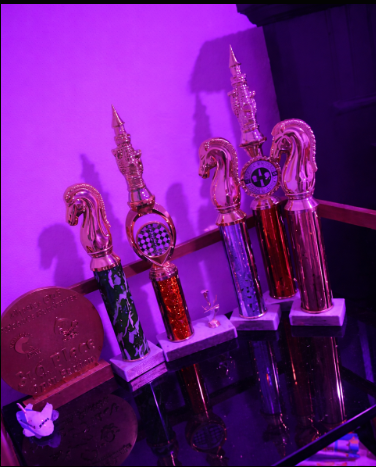 Ram's Chess Trophies and Medals